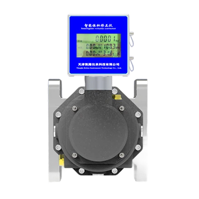 DN25微小型羅茨流量計(jì)